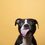 Profile Picture of Julio Menjivar (@menjivar732) on Instagram
