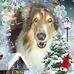 Profile Picture of Michael Spohr (@Michael-Spohr) on Facebook