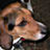 Profile Picture of Kevin Eye (@evileyeny) on Flickr