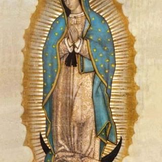 Profile Picture of Armando Corado (@armando.corado.1) on Facebook