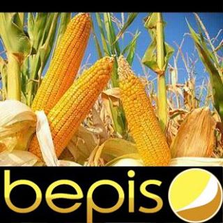Profile Picture of Corn Field (Soup) (@Corn-Field) on Facebook