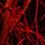 Profile Picture of Eric Nadeau (@zarkokov) on Flickr