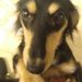 Profile Picture of Adam Vann (@avann3232) on Pinterest