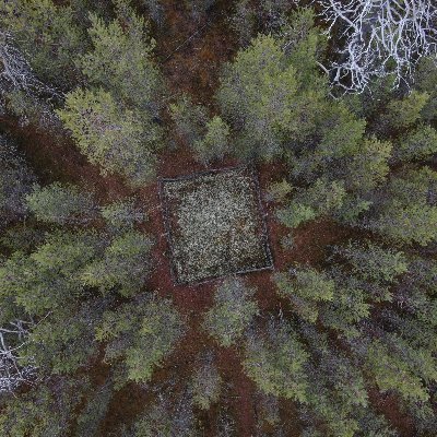 Profile Picture of Invisible Flock (@invisibleflock) on Twitter