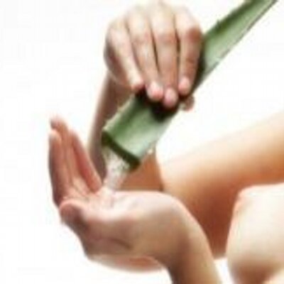 Profile Picture of Mike (@AloeVera_NL) on Twitter