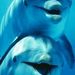 Profile Picture of Paula Berman Santaella (@bermansantaella) on Pinterest