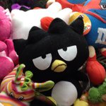 Profile Picture of Dustin Ferrone (@zanrick) on Instagram