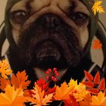 Jacob Thacker - Instagram Profile Picture of Jacob Thacker (@thacker832) on Instagram