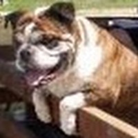 Profile Picture of Brian Nave (@brian-nave-1) on Quora