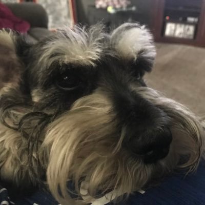 Profile Picture of Jay Matthews (@jaybird_82) on Twitter