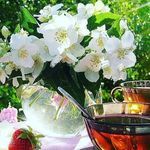 Profile Picture of марина майсак (@marina.maisak) on Instagram