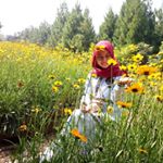 Profile Picture of Anna Anna (@anna_halim2202) on Instagram