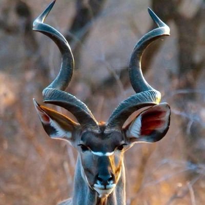 Profile Picture of Graham Christian (@grahamdouglas07) on Twitter