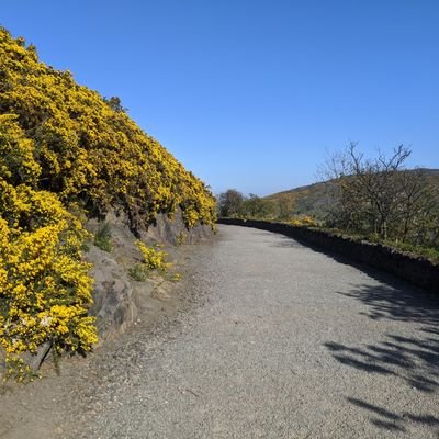 Profile Picture of Ben Semple (@Behns_world) on Twitter