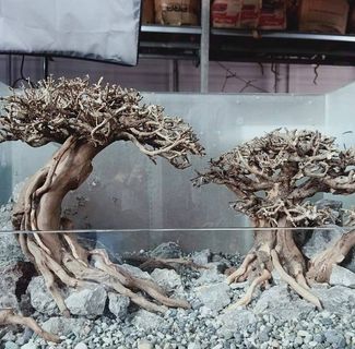 Profile Picture of Bryan Fatoni (@bryan.fatoni.946) on Facebook