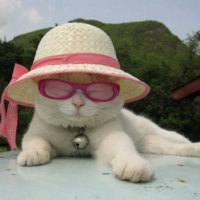 Profile Picture of Trần Hằng (@tranhang1802191) on Twitter