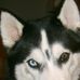 Profile Picture of Troy England (@troy.england.902) on Facebook