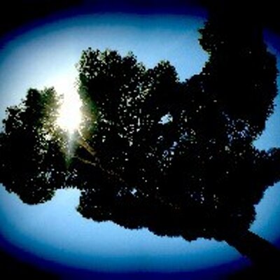 Profile Picture of Marion Bernard (@@marionbee) on Twitter