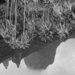 Profile Picture of Liston (@91bradestonz) on Instagram