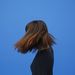 Profile Picture of Prue Treweeke (@pruetreweeke) on Pinterest