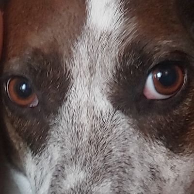 Profile Picture of Scott Mayes (@MeesterScott) on Twitter