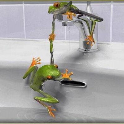 Profile Picture of Concepcion Alvarez (@conniecfw) on Twitter