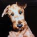 Profile Picture of Gregory Rohl (@grohlcdm) on Pinterest