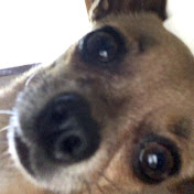 Profile Picture of Caleb Gonzales (@calebgonzales7099) on Youtube