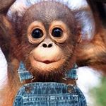 Profile Picture of Jerry Schwartz (@jerry.schwartz.52035) on Instagram