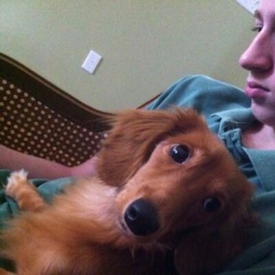 Profile Picture of Justin Zwicker (@justZWICK) on Twitter