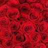 Profile Picture of NARINE BAKHTAMYAN (@narinebakhtamyan) on Pinterest