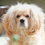 Marc Legris - Facebook Profile Picture of Marc Legris (@Marc-Legris) on Facebook