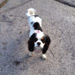 Thomas Bakken - Instagram Profile Picture of Thomas Bakken (@thomas_bakken) on Instagram