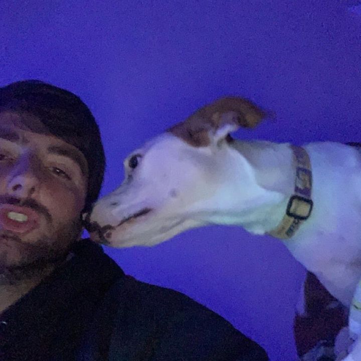 Profile Picture of Matthew Wade (@matthewwade) on Tiktok