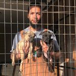 Profile Picture of Guillermo Jimenez (@vintage_game_kennels) on Instagram