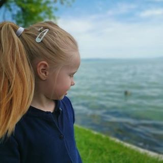 Profile Picture of Gulyas Gabor (@gulyas.gabor.50) on Facebook