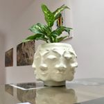 Profile Picture of RUBY 🌱 (@house_of_ruby_co) on Instagram