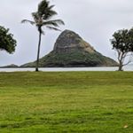 Profile Picture of Rick Testa (@fxtrader58) on Instagram