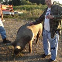 Profile Picture of John Crogan (@dhammappiya) on Pinterest