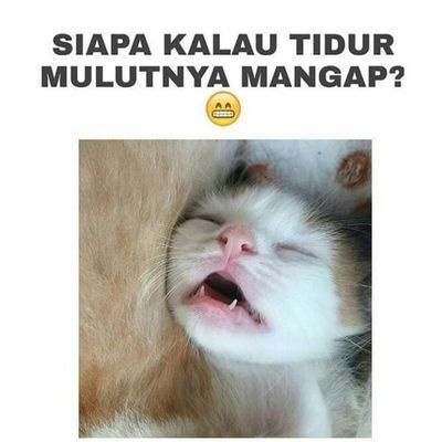 Profile Picture of Mahesh_Markad (@jjoshua_wrzesinski) on Tiktok