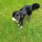 Profile Picture of Jerette Lewis Dunham (@jeretted) on Facebook