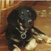 Profile Picture of Jacquelyn Haley (@jwhjac) on Pinterest