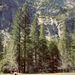 Profile Picture of Jeremy Pedron (@jdpedron) on Pinterest