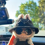 Profile Picture of Diana Baczkowski (@Diana-Baczkowski) on Facebook