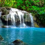 Profile Picture of Blake Alenko (@appleswithoutseeds) on Instagram