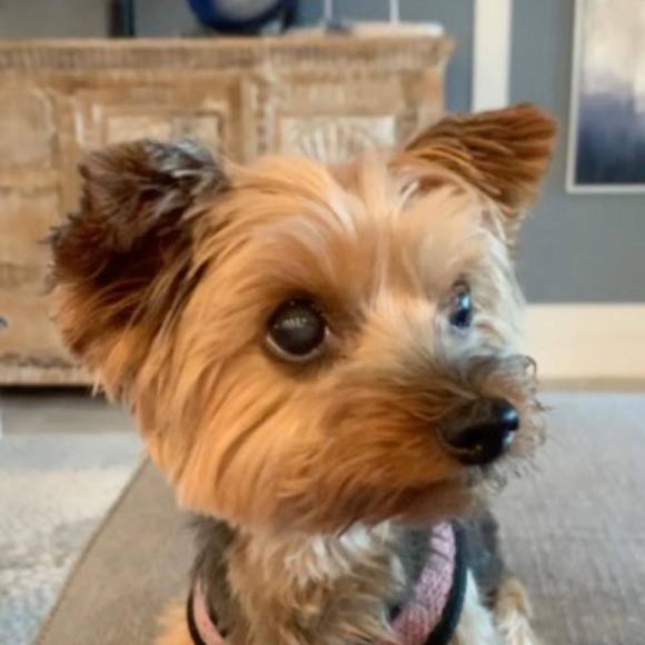 Profile Picture of Miranda Mccarthy (@mmccarthy) on Poshmark