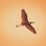 Profile Picture of Lima Varghese (@limavarghese2021) on Instagram