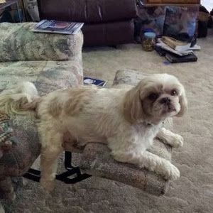 Profile Picture of Sheryl Callaway (@sheryl.callaway) on Tiktok