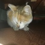 Profile Picture of Enrique Jeraldo collipal heise (@enriquejeraldocollipal) on Instagram