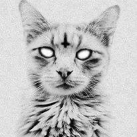 Profile Picture of Steve Moe (@steve_moe) on Poshmark